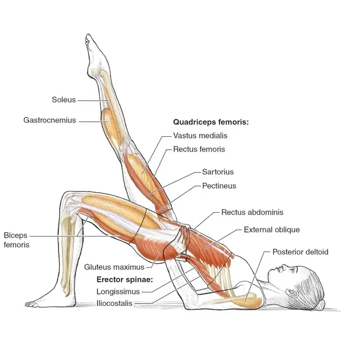 Pilates Bölümleri